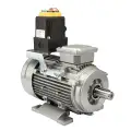 IMG_0001_1.jpg