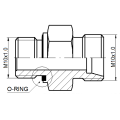 600x600 SCHEMAT.png